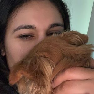 Meet your Posher, Andrea